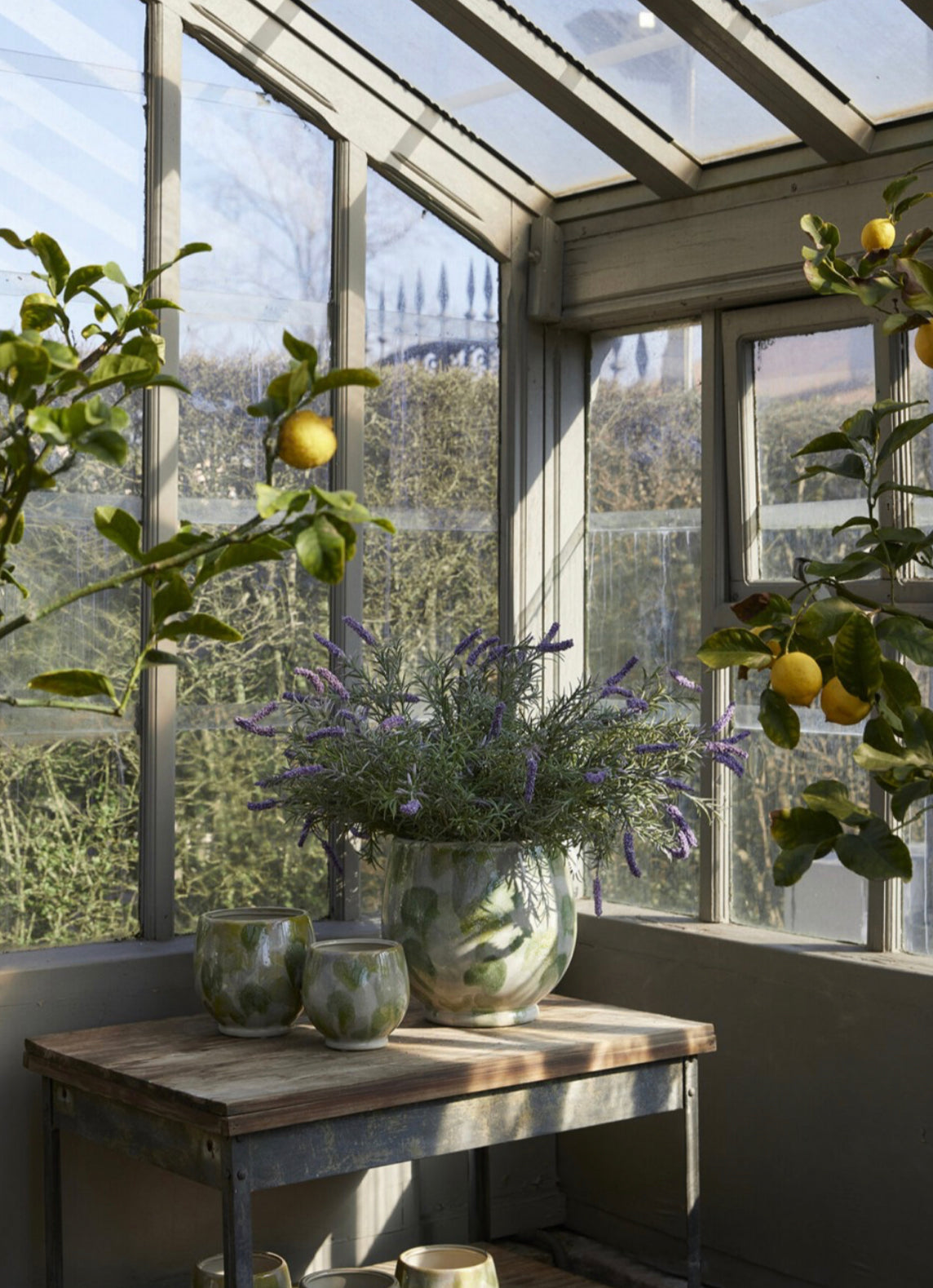 VASE / POT FOR FLOWERS CEZZANA