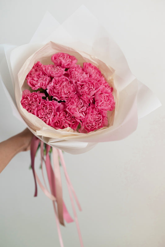 CARNATIONS - BOUQUET