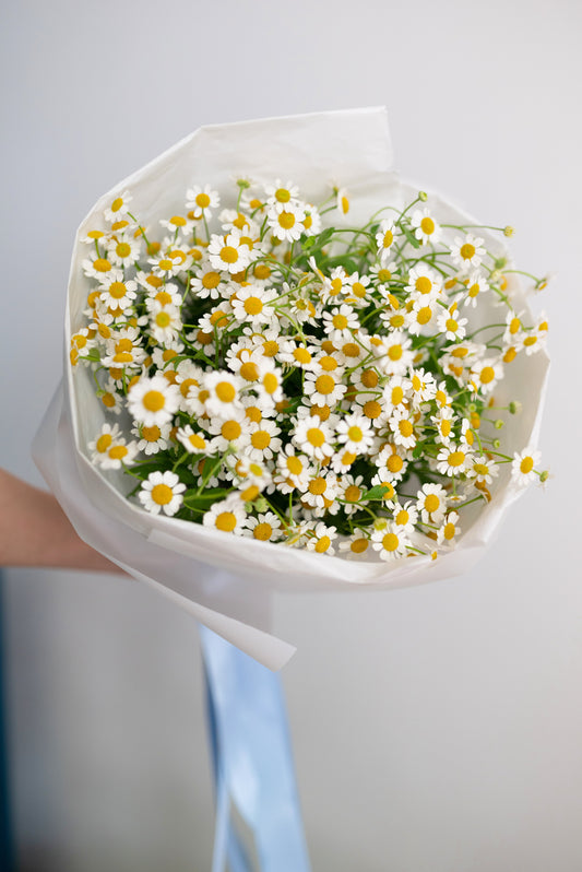 CHAMOMILE - BOUQUET