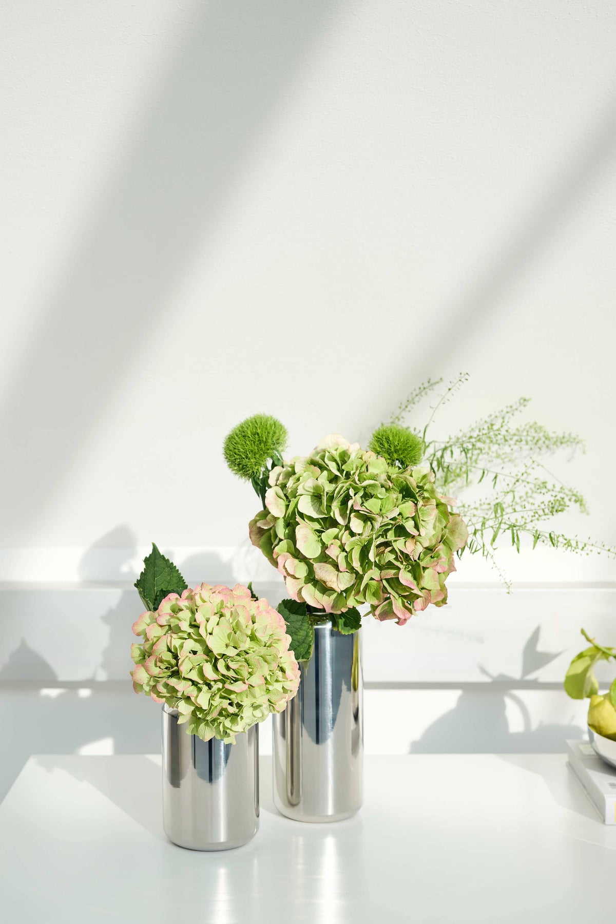 VASE - Lunaria mini