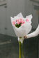 TULIPANI - BUKET