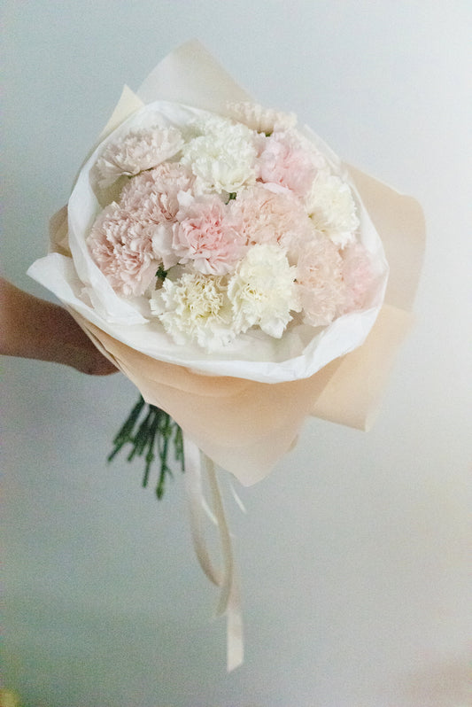 CARNATIONS - BOUQUET